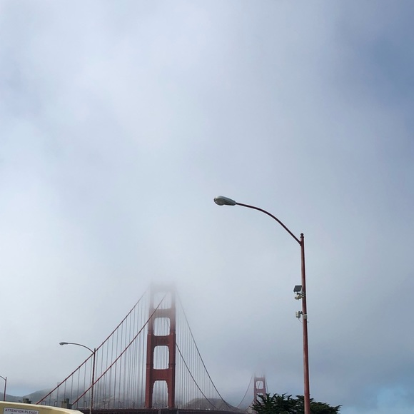 Meet Your Posher, Deb - Picture 9 of 16